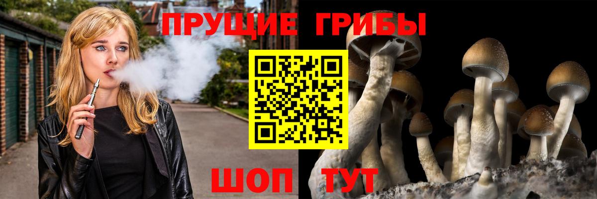 Псилоцибиновые грибы мицелий Череповец